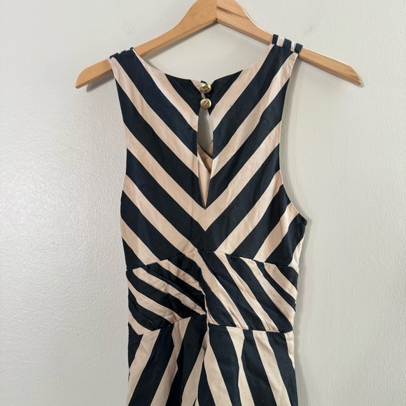 Anthro Leifsdottir Black Tan Stripe Sleeveless Sheath Dress Coctail Party Guest - Picture 10 of 15